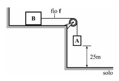 Polias Image_15