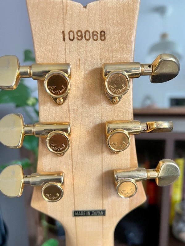 Westone Custom Guitar Img_7111