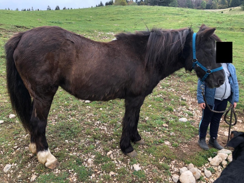 HAVANE - OI poney  née en 1995 - adoptée en mars 2014 par dona carlota - Page 3 39708811