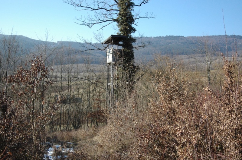 construction de miradors et postes d'affût Mirado11