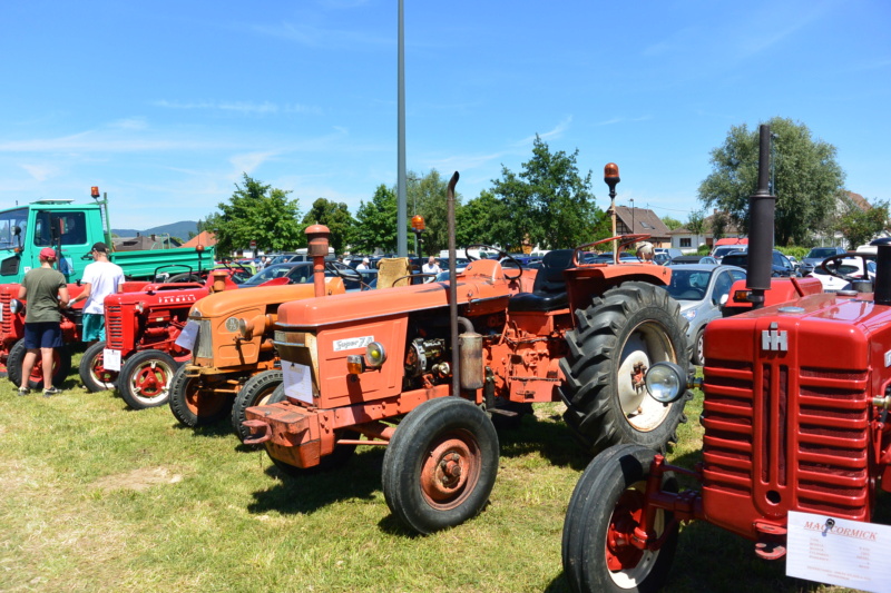 Vieux tracteurs Sélestat  Dsc_3312