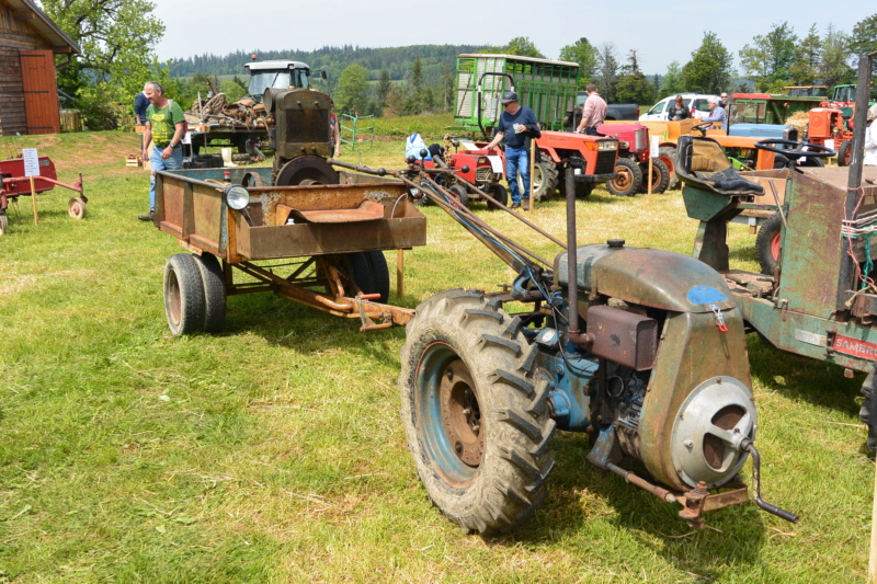 Vieux tracteurs à Girmont Val d'Ajol  ( 88 )  Dsc_3520