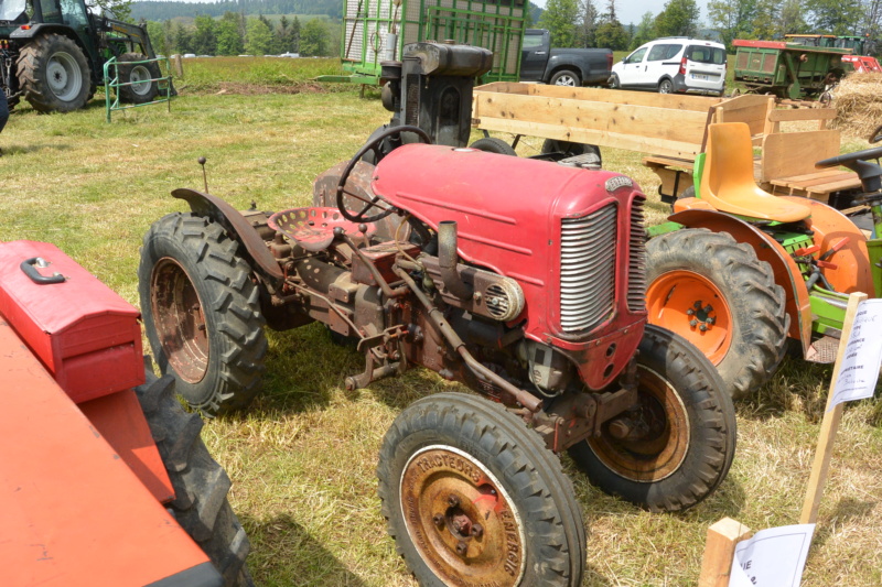 Vieux tracteurs à Girmont Val d'Ajol  ( 88 )  Dsc_3610