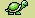 besoin de conseil, sauvetage de Bébé tortue Herman, trou dans la coquille, qui ne mange pas