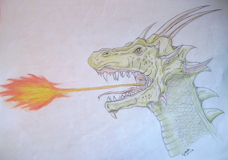 Dragon cracheur de feu Dragon12