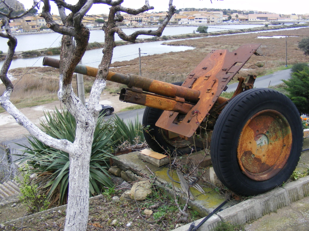 canons à vendre Museeg13