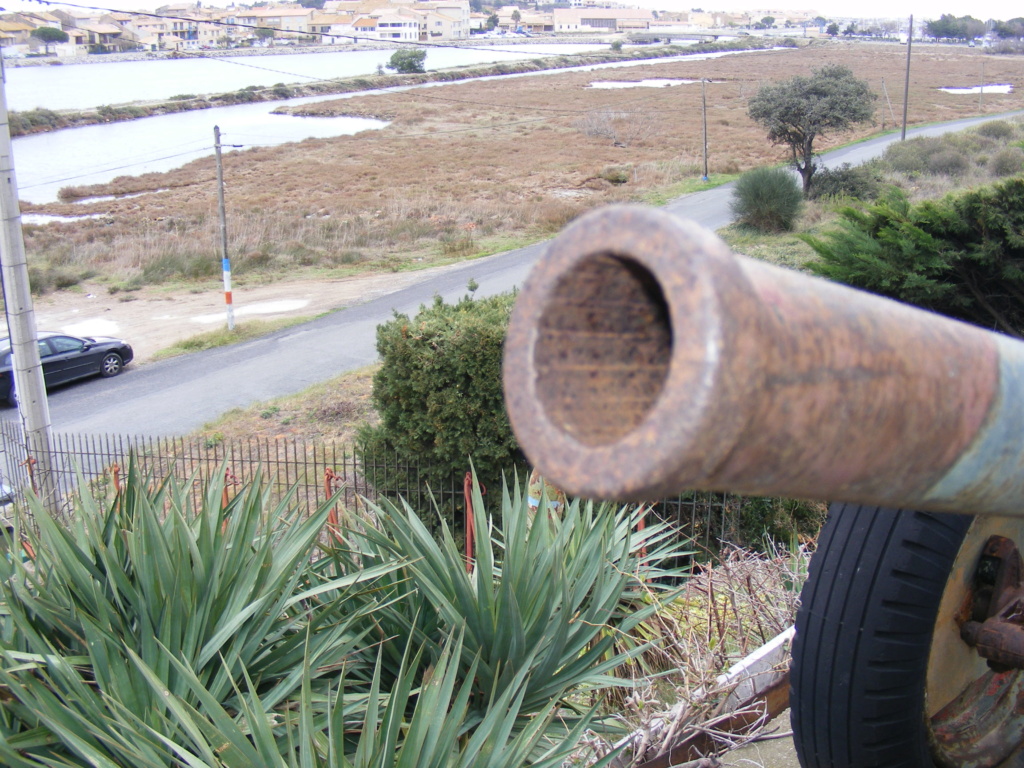 canons à vendre Museeg16