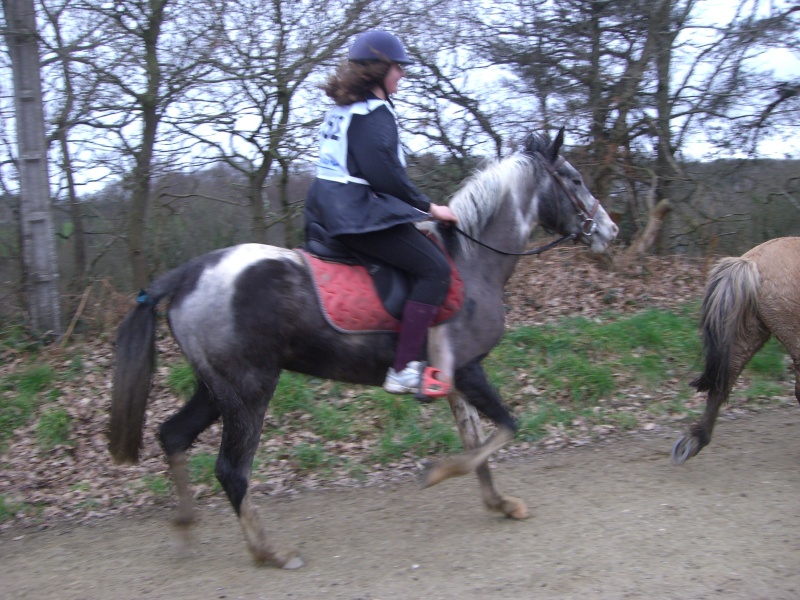 L'endurance de Coatlan Cimg4514