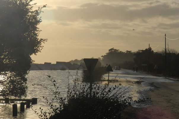 dégâts tempête : Ars en ré 26321_12