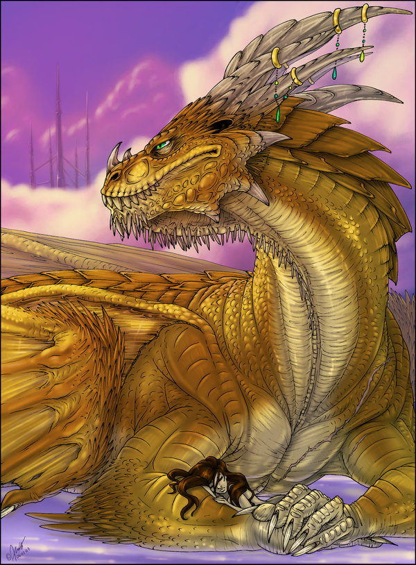 Dragons jaunes Dragon13