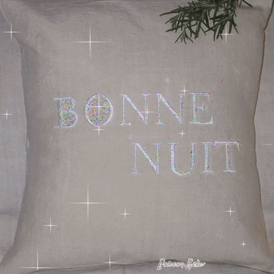 Samedi 25 Aout Nuit_o10