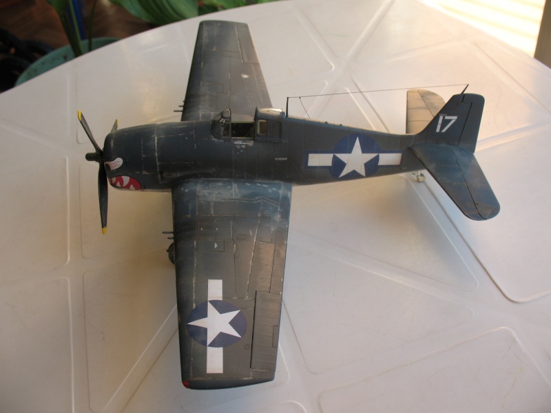 Hellcat Eduard 1/48 Img_0314