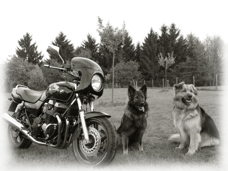 Le concours de Mars 2010: Votre moto en black & white. - Page 2 P1070812