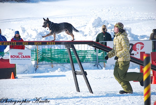 Mes  photos au Carnaval de québec Carnav19