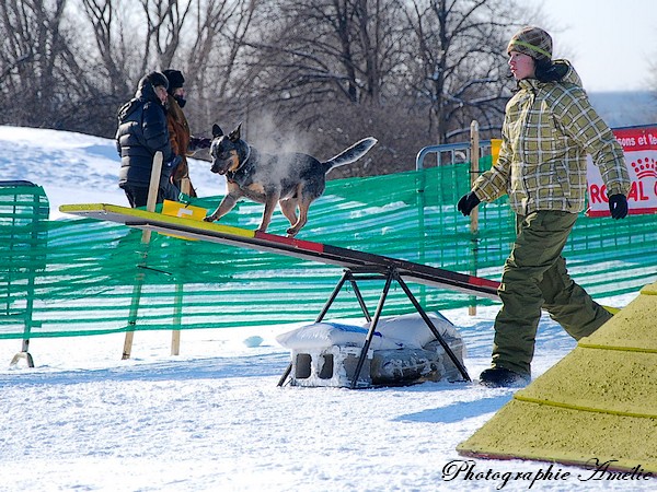 Mes  photos au Carnaval de québec Carnav30