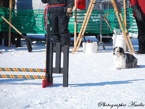 Mes  photos au Carnaval de québec Carnav43