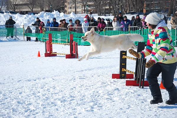 Mes  photos au Carnaval de québec Carnav50