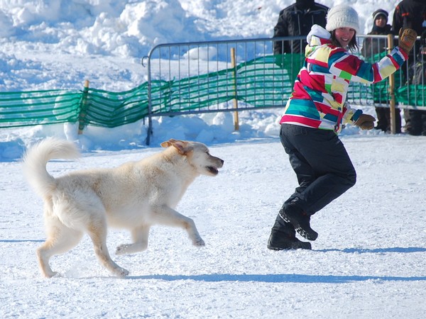 Mes  photos au Carnaval de québec Carnav56