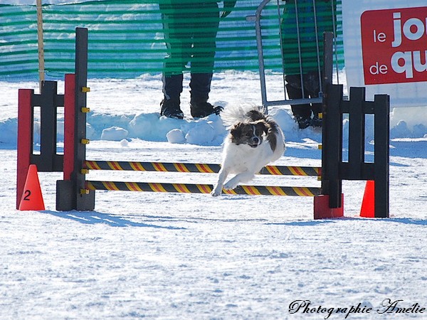 Mes  photos au Carnaval de québec Carnav64