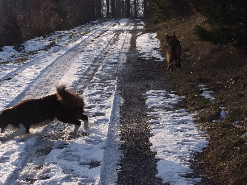 Chester et le jeu 2009_075