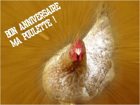 Joyeux Anniversaire Mab Joyeux Anniversaire Mab