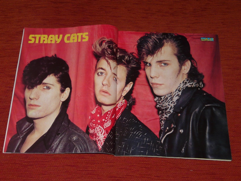 Photos Stray Cats - Page 2 Salut_10