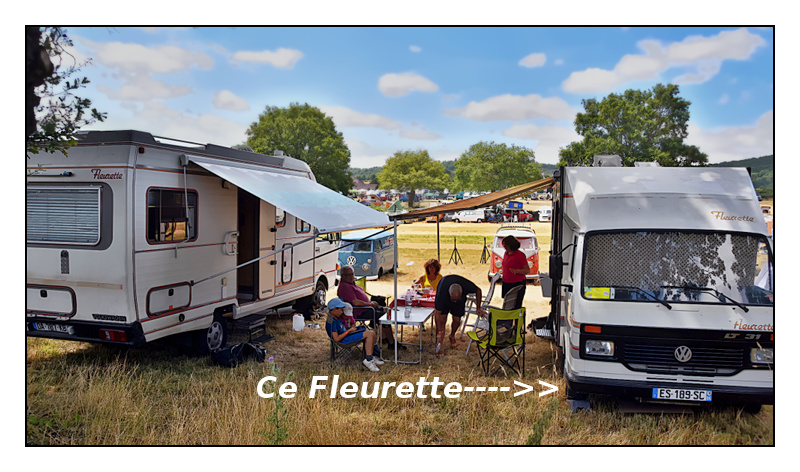 ALERTE:  VOL DE LT Fleure10