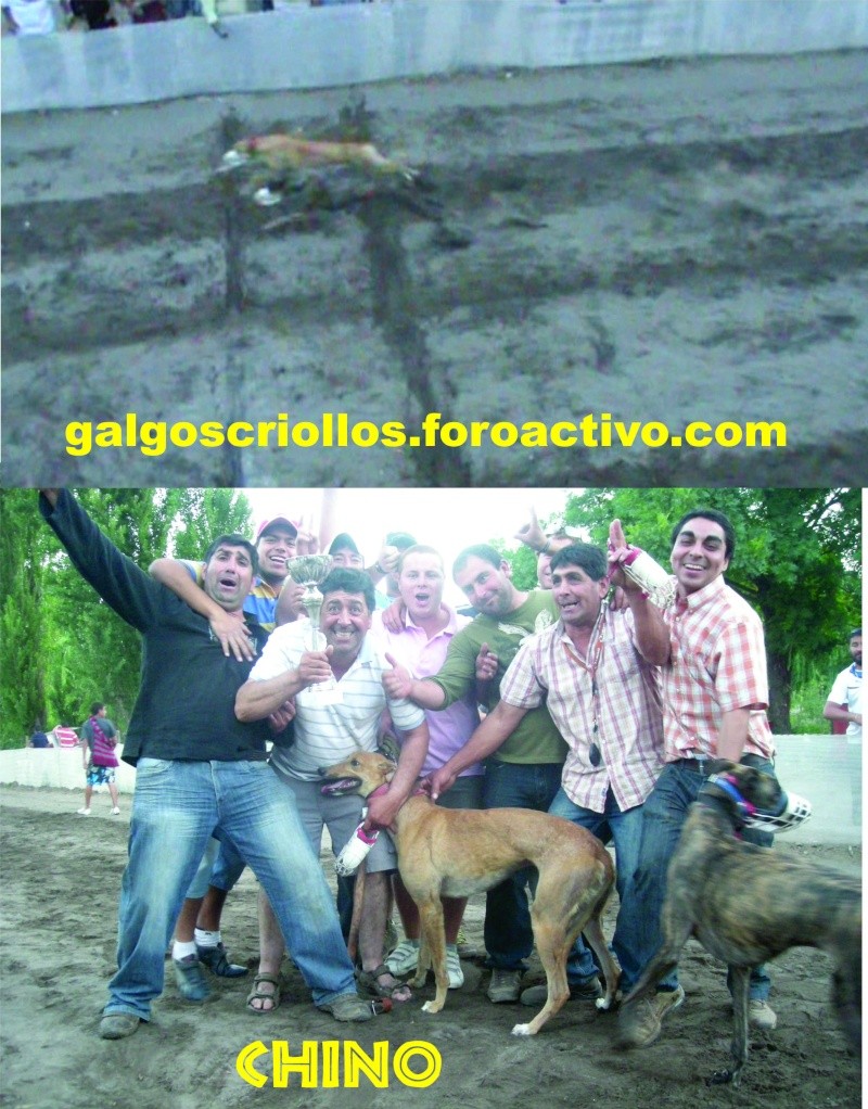04 DICIEMBRE 2010, CLASICOS Y GRANDES CARRERAS EN LOS ANDES RINCONADA.- - Página 4 Cino10