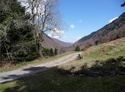 Baronnies - La traversée des Baronnies (Hautes-Pyrénées), le 23 avril 2016 - Page 2 Chirou15