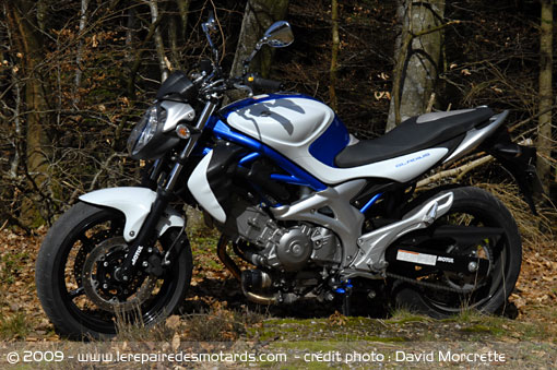 Suzuki Gladius Suzuki10