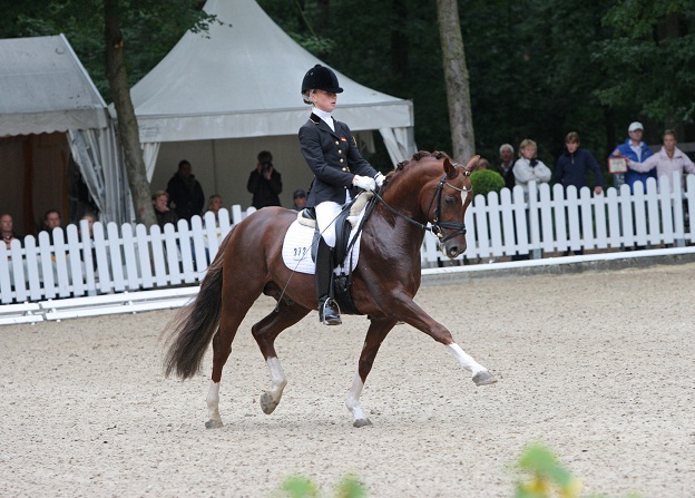 DON DAVIDOFF : Etalon Dressage / CCE - Poney Allemand Dd20vi10