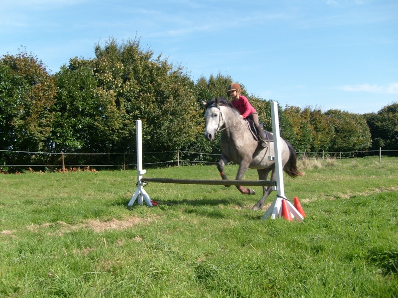 Elevage d'Alizay : Poneys de dressage Queysa11