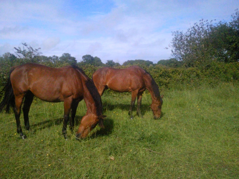 Mes gros lous le 2 juin Photo063