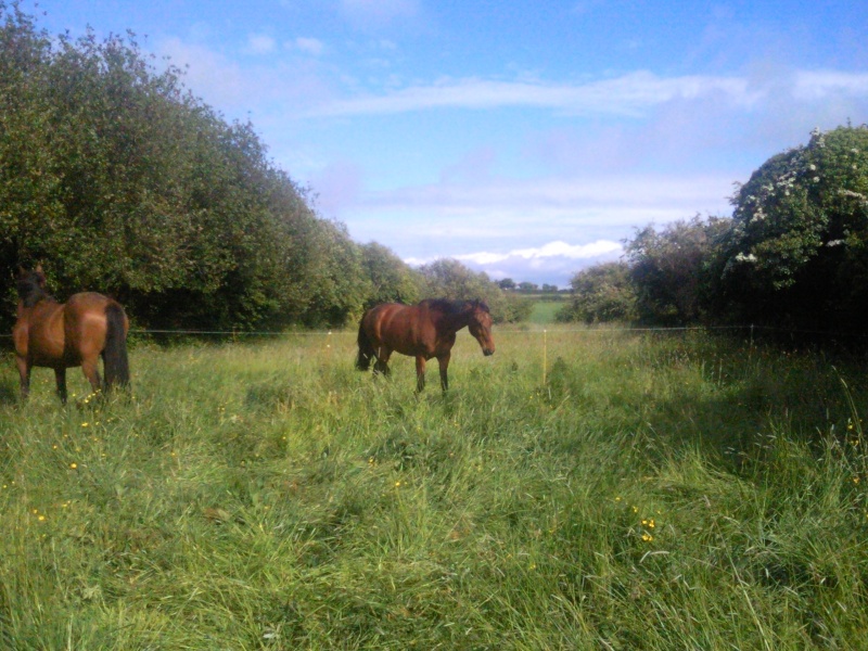 Mes gros lous le 2 juin Photo096