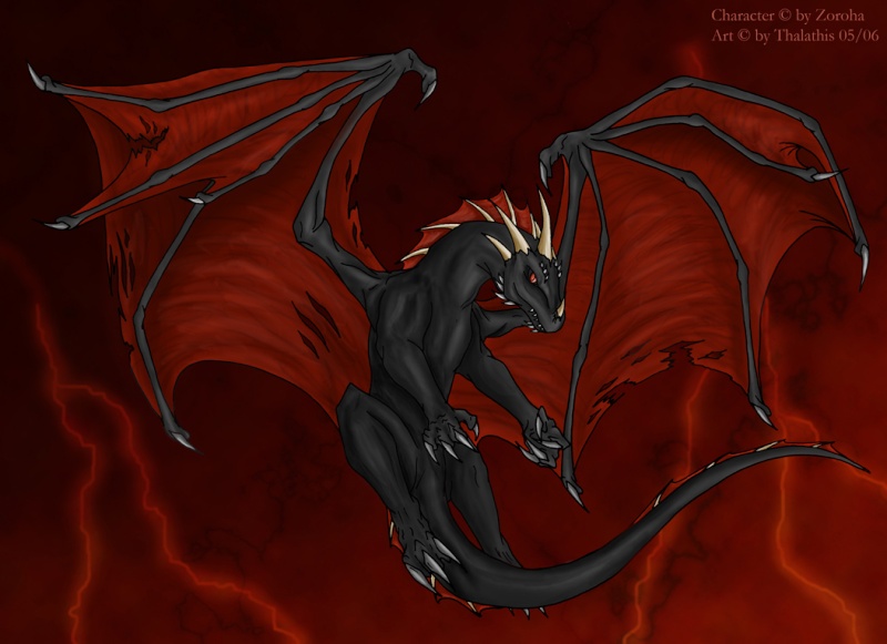 Dragons noirs Zoroha10