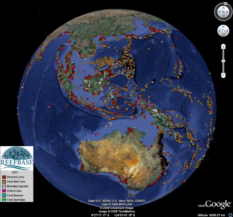 Le corail dans le Monde -Coral Reef Monitoring (Fichier Kmz) Coral10