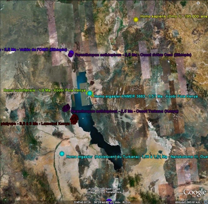 Le fichier HOMINIDES dans Google Earth [fichier KMZ pour Google Earth] Hom210