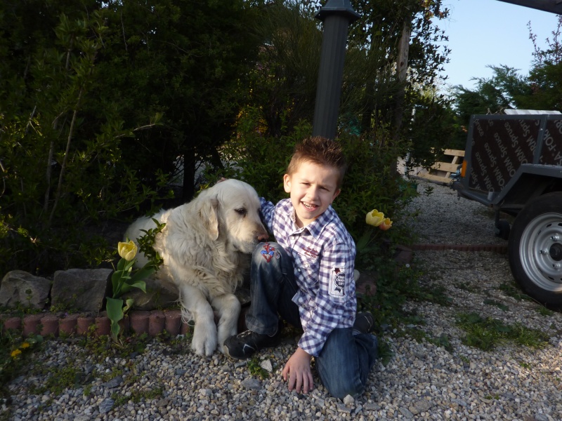 [VOTE] Concours photo : vos chiens et le printemps P1020011