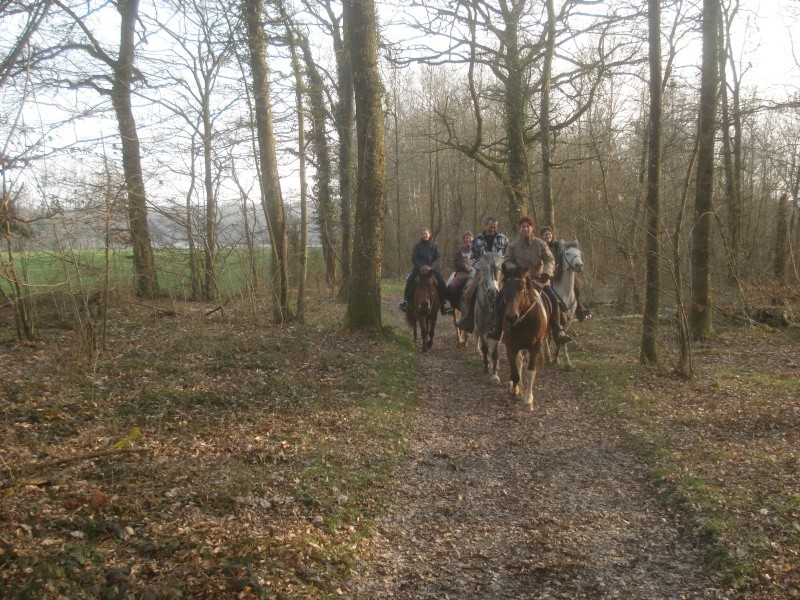 Sortie PEROUGES Mars 2011 Dsc05921