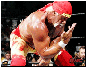 Image Hulk Hogan Hogan-12