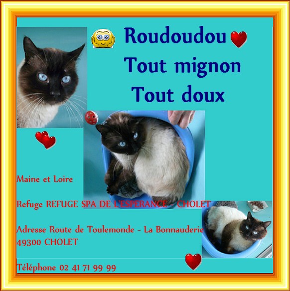 Roudoudou Maine et Loire Roudou10