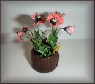 Fleurs miniatures Pavots10