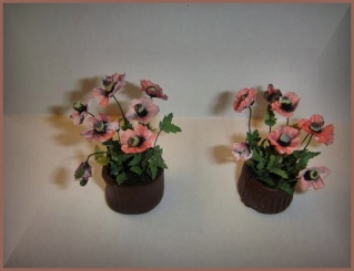 Fleurs miniatures Pavots11