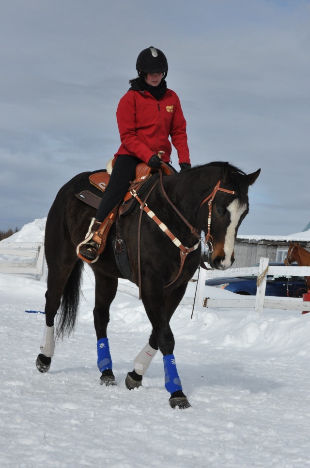 En Selle avec Dos Dasher & beauty Dsc_0112