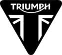 TRIUMPH TRIDENT 660 2021 - Présentation Tzolzo18