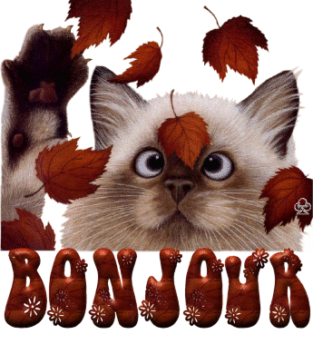 Le jeu des 3h - Page 2 2210