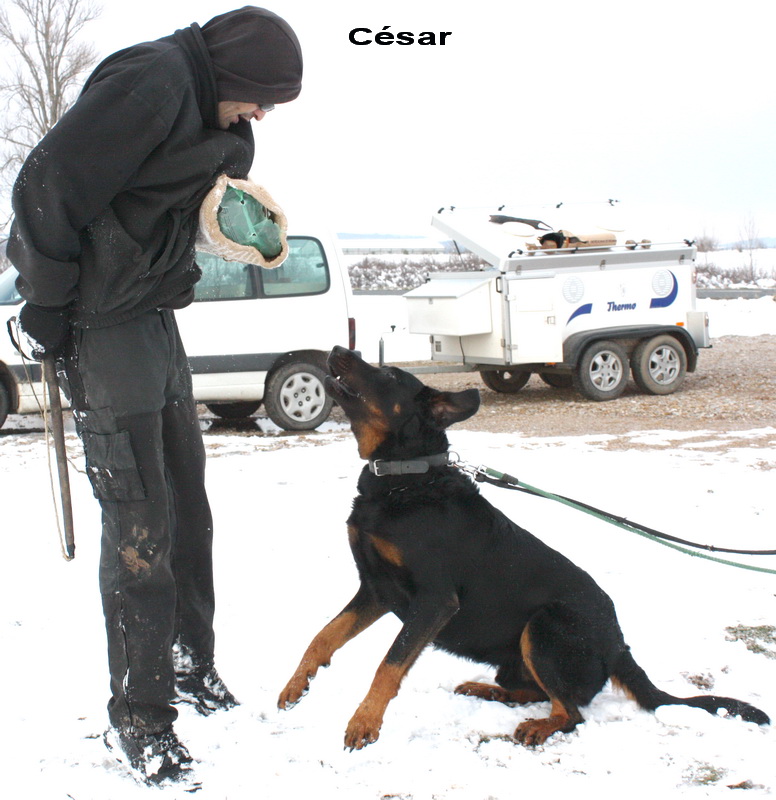 César au mordant RCI dans la neige 800img43