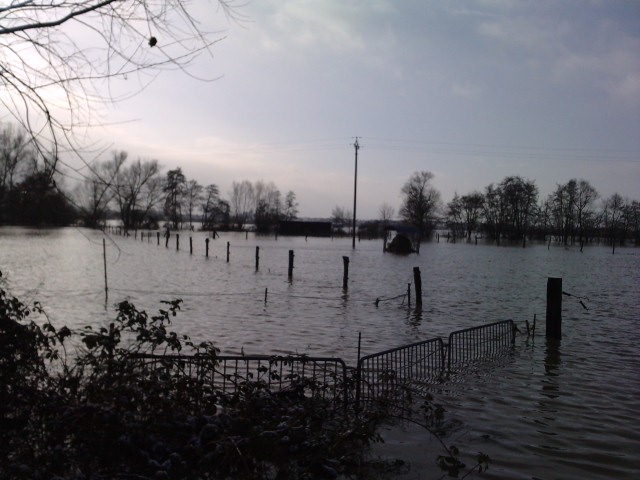 Inondation au grand parc... P0912111