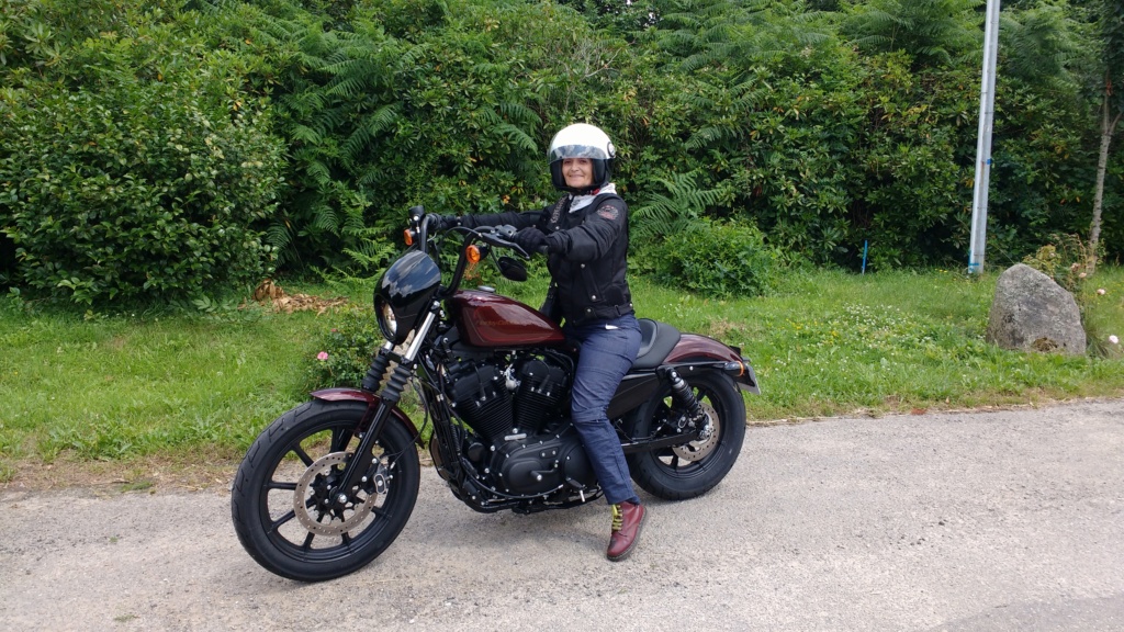 2 nouveaux Sportster 2018: Iron 1200 et 48 special - Page 3 Img_2018