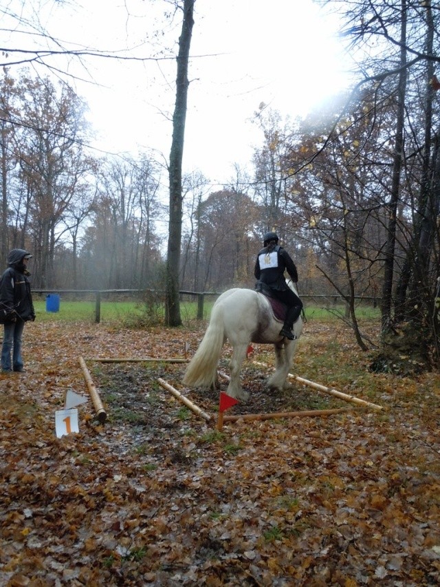 1er Trec de Flann le 07/11/10. Résultats et photos! Dscn0614